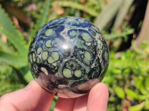 Polished Stromatolite "Kambamba Jasper" Spheres x 6 From Katsepy, Madagascar