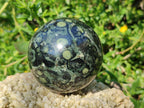 Polished Stromatolite "Kambamba Jasper" Spheres x 6 From Katsepy, Madagascar
