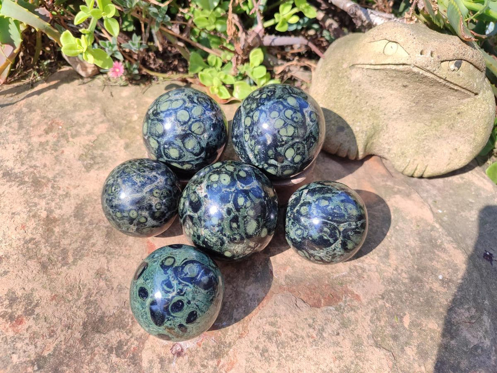 Polished Stromatolite "Kambamba Jasper" Spheres x 6 From Katsepy, Madagascar