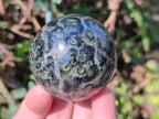 Polished Stromatolite "Kambamba Jasper" Spheres x 6 From Katsepy, Madagascar