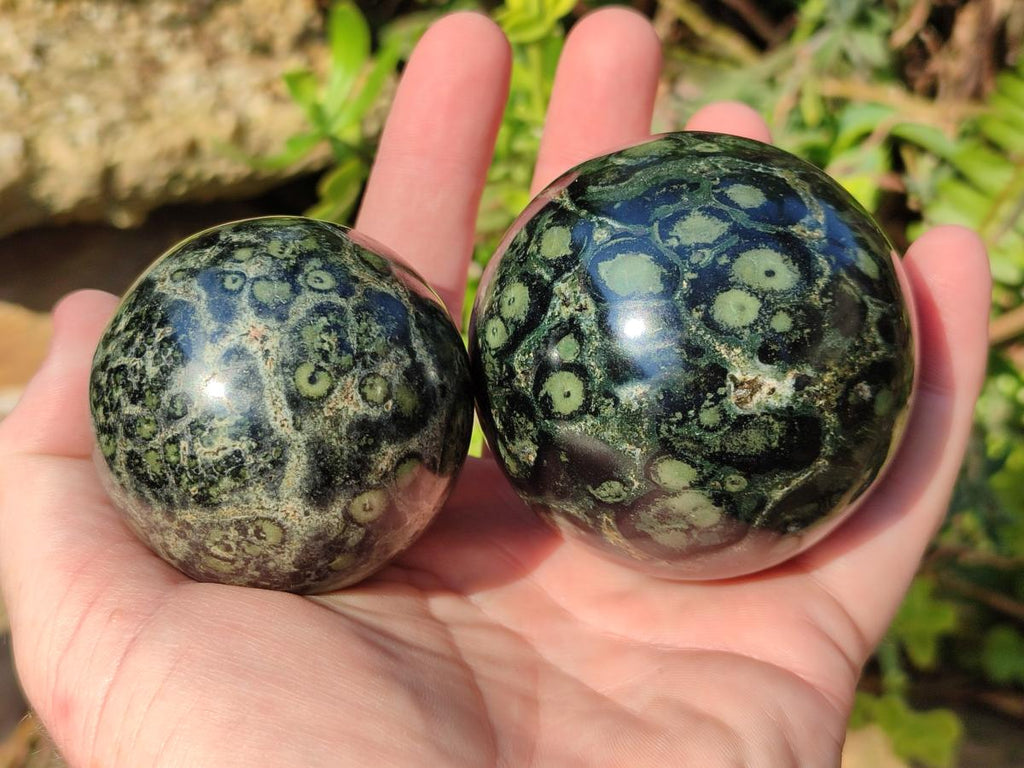 Polished Stromatolite "Kambamba Jasper" Spheres x 6 From Katsepy, Madagascar
