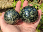 Polished Stromatolite "Kambamba Jasper" Spheres x 6 From Katsepy, Madagascar