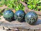 Polished Stromatolite "Kambamba Jasper" Spheres x 6 From Katsepy, Madagascar
