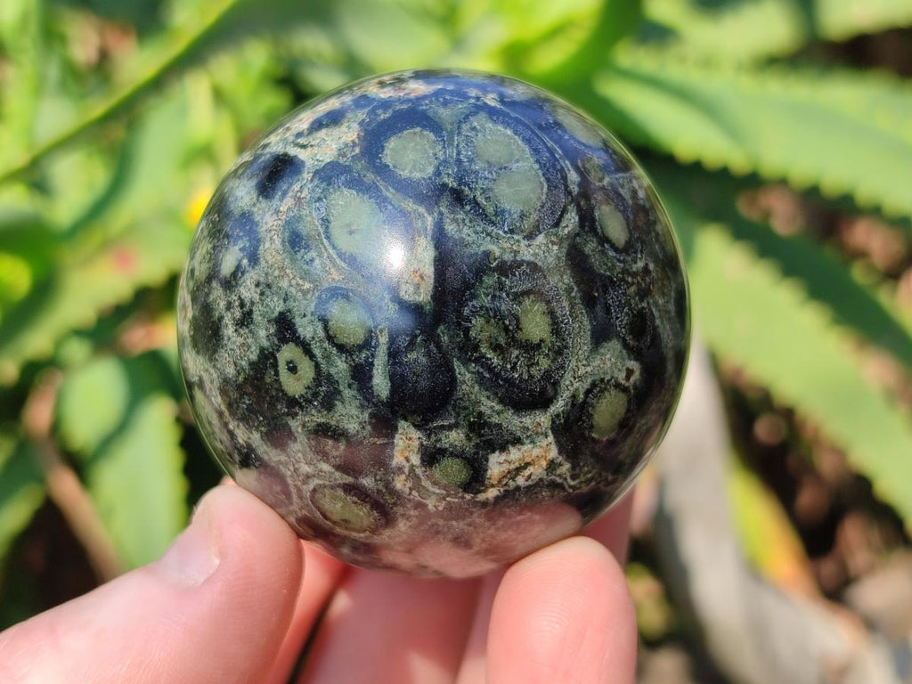 Polished Stromatolite "Kambamba Jasper" Spheres x 6 From Katsepy, Madagascar