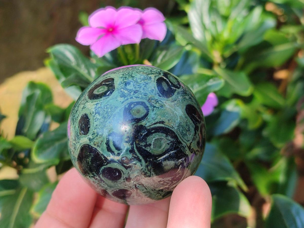 Polished Stromatolite "Kambamba Jasper" Spheres x 6 From Katsepy, Madagascar