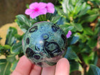 Polished Stromatolite "Kambamba Jasper" Spheres x 6 From Katsepy, Madagascar