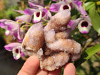 Natural Spirit Amethyst Clusters x 6 From Boekenhouthoek, South Africa