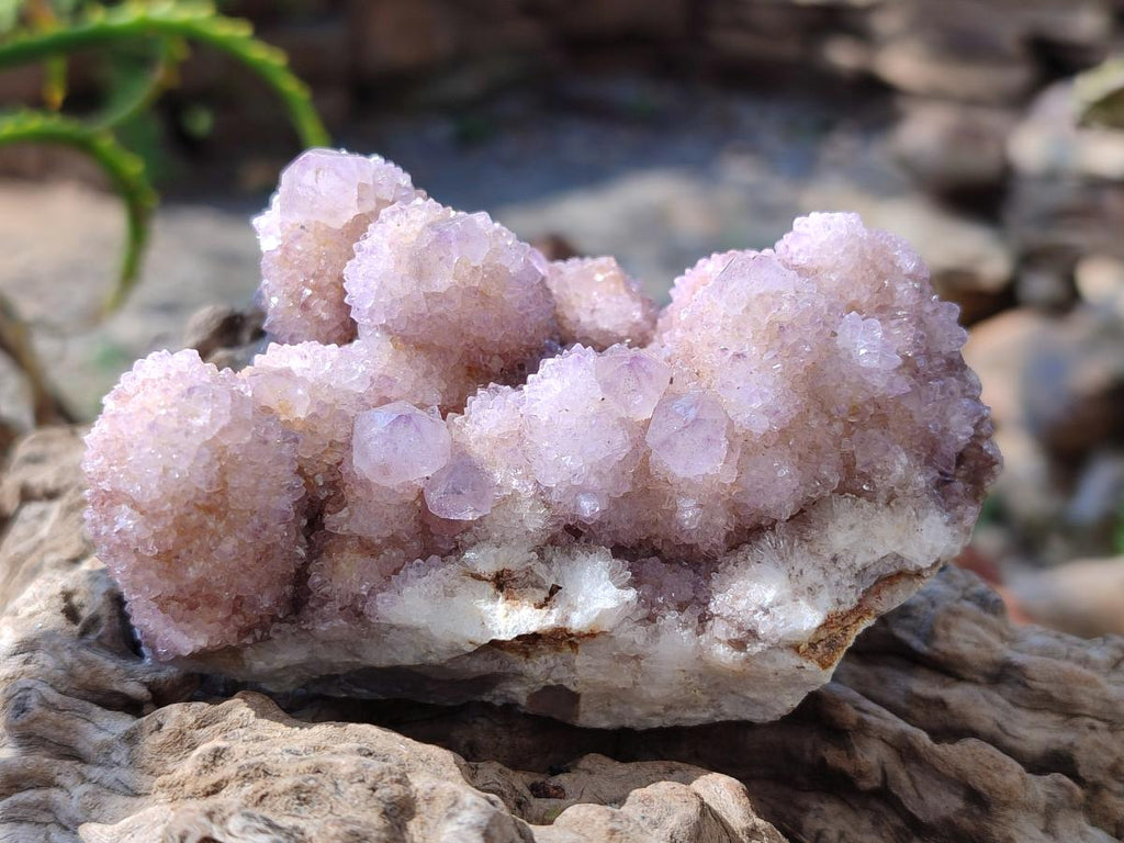 Natural Spirit Amethyst Clusters x 6 From Boekenhouthoek, South Africa