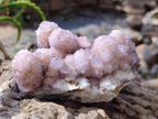 Natural Spirit Amethyst Clusters x 6 From Boekenhouthoek, South Africa