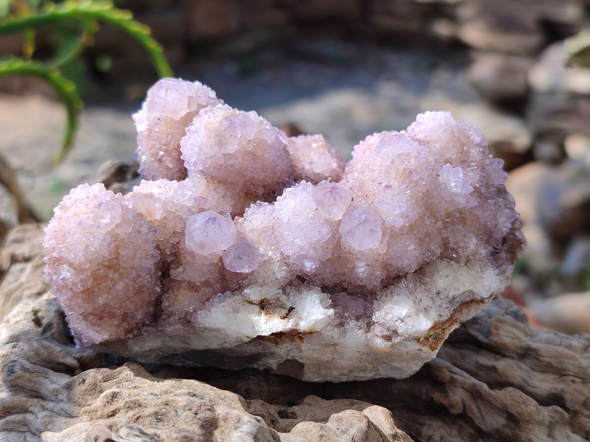 Natural Spirit Amethyst Clusters x 6 From Boekenhouthoek, South Africa