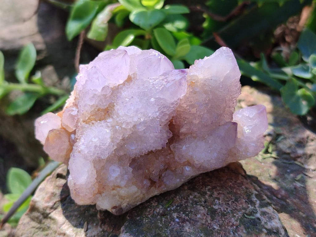 Natural Spirit Amethyst Clusters x 6 From Boekenhouthoek, South Africa