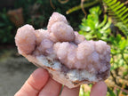 Natural Spirit Amethyst Clusters x 6 From Boekenhouthoek, South Africa