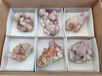 Natural Spirit Amethyst Clusters x 6 From Boekenhouthoek, South Africa
