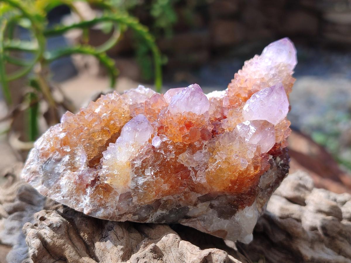 Natural Spirit Amethyst Clusters x 6 From Boekenhouthoek, South Africa