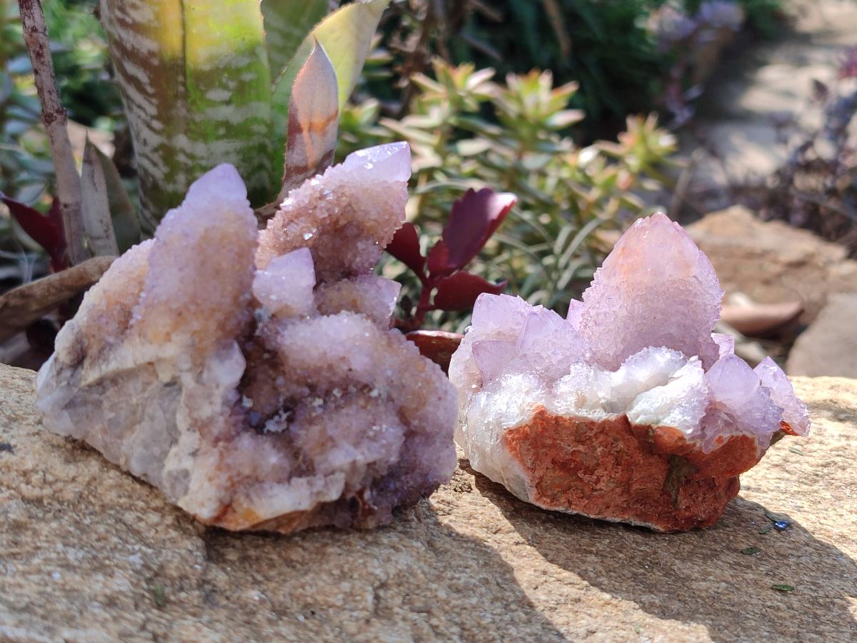 Natural Spirit Amethyst Clusters x 6 From Boekenhouthoek, South Africa