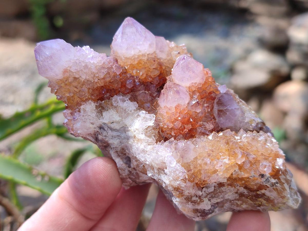 Natural Spirit Amethyst Clusters x 6 From Boekenhouthoek, South Africa