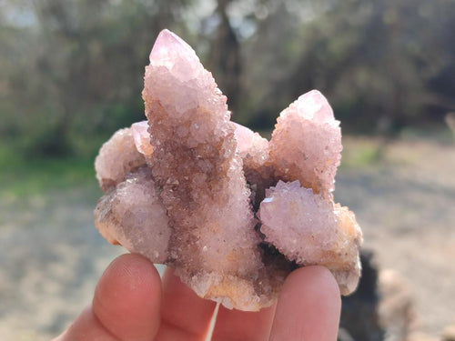 Natural Spirit Amethyst Clusters x 6 From Boekenhouthoek, South Africa