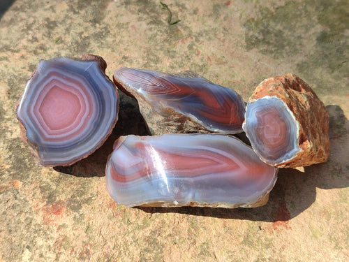 Polished One Side Red Shashe River Agate Nodules x 35 From Shashe River, Zimbabwe - Toprock Gemstones and Minerals 