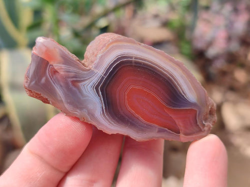 Polished One Side Red Shashe River Agate Nodules x 35 From Shashe River, Zimbabwe - Toprock Gemstones and Minerals 