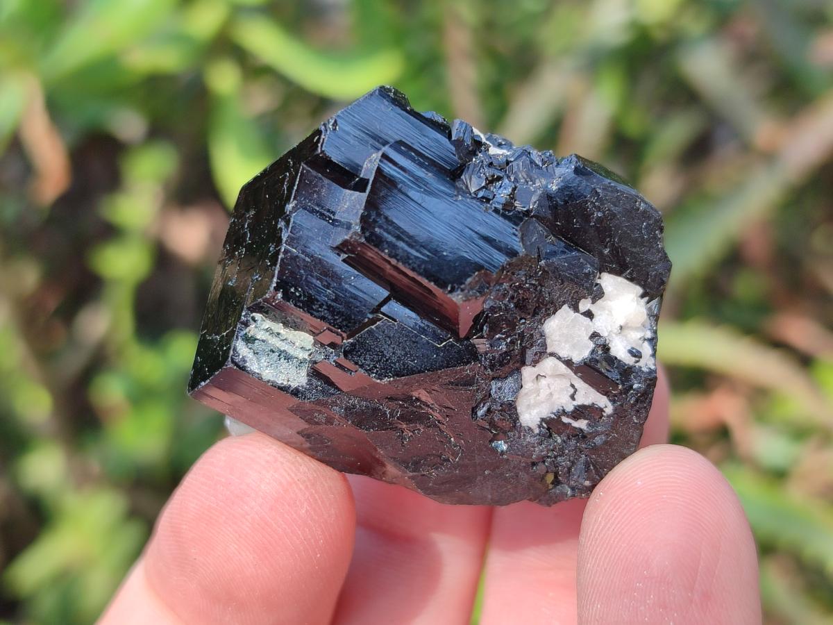 Natural Schorl Black Tourmaline Crystal Specimens x 35 From Erongo, Namibia - Toprock Gemstones and Minerals 