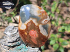 Polished Polychrome Jasper Standing Display Pieces x 6 From Androka, Madagascar - Toprock Gemstones and Minerals 