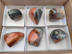 Polished Polychrome Jasper Standing Display Pieces x 6 From Androka, Madagascar - Toprock Gemstones and Minerals 
