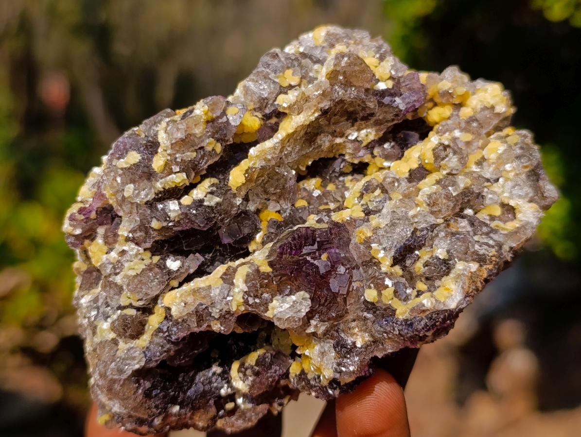 Natural Smokey Fluorite Specimens with Yellow Muscovite Mica x 3 From Erongo, Namibia - Toprock Gemstones and Minerals 