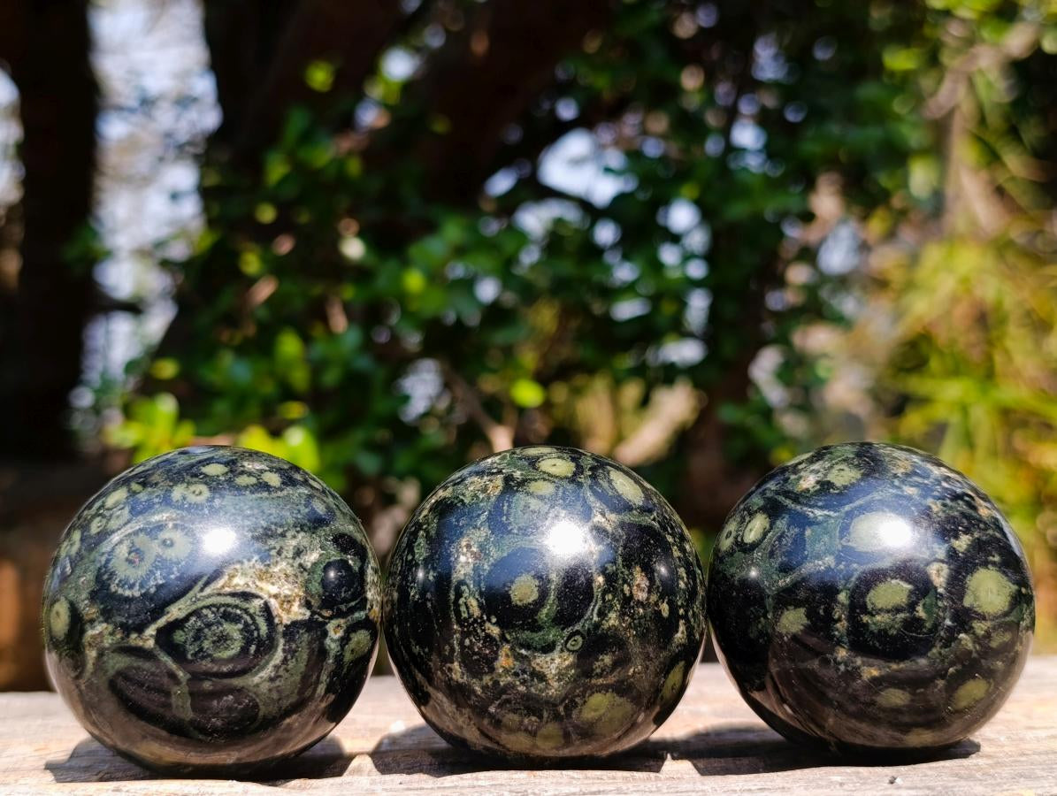 Polished Stromatolite "Kambamba Jasper" Spheres x 12 From Katsepy, Madagascar - Toprock Gemstones and Minerals 