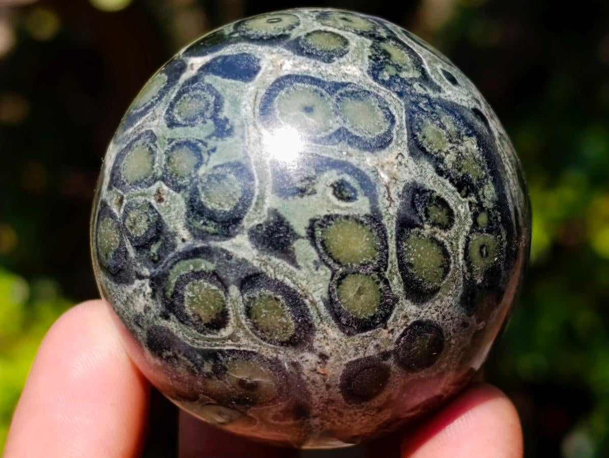 Polished Stromatolite "Kambamba Jasper" Spheres x 12 From Katsepy, Madagascar - Toprock Gemstones and Minerals 