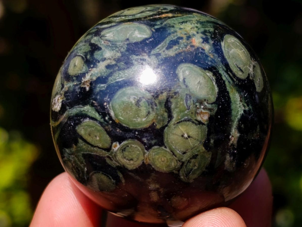 Polished Stromatolite "Kambamba Jasper" Spheres x 12 From Katsepy, Madagascar - Toprock Gemstones and Minerals 