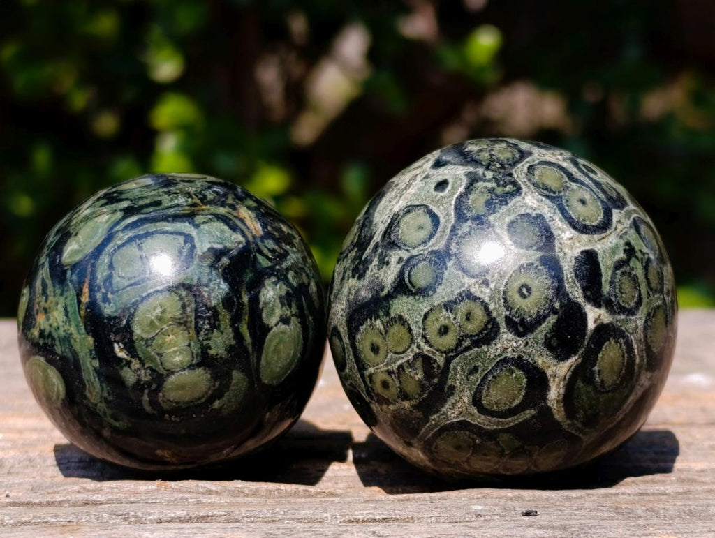Polished Stromatolite "Kambamba Jasper" Spheres x 12 From Katsepy, Madagascar - Toprock Gemstones and Minerals 