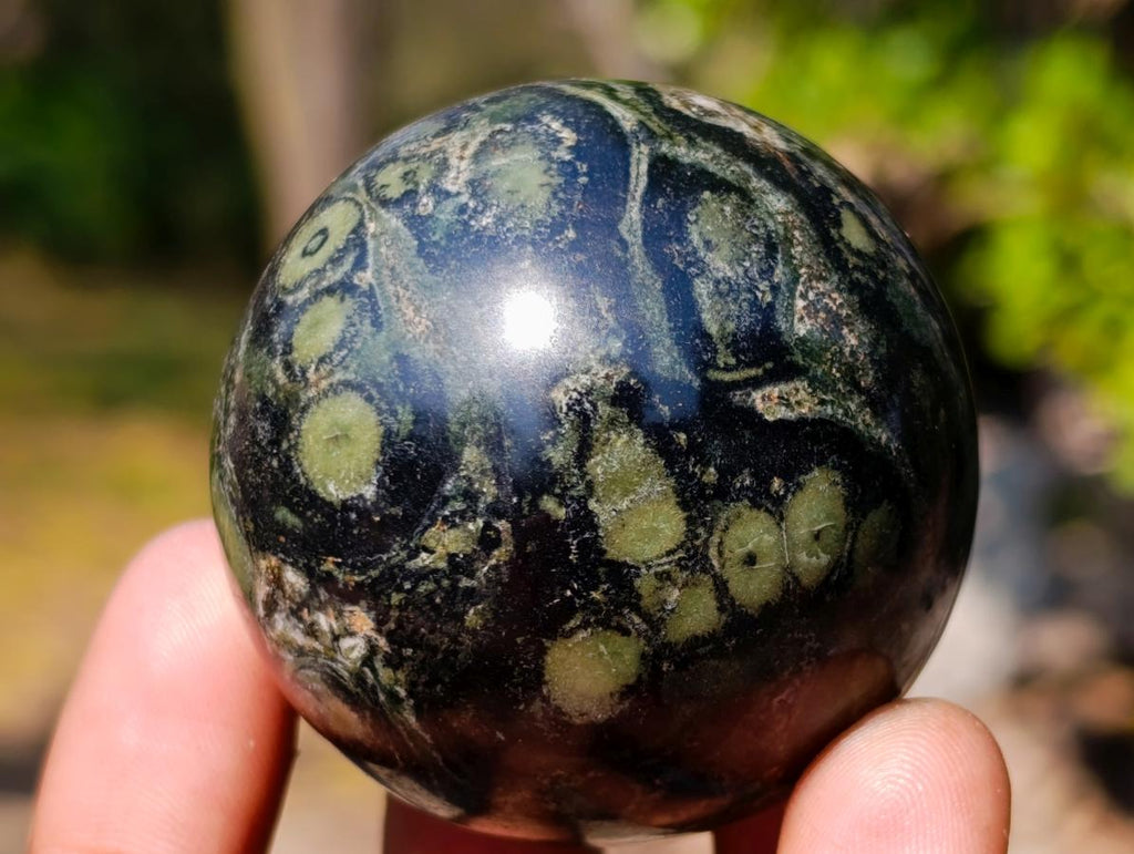 Polished Stromatolite "Kambamba Jasper" Spheres x 12 From Katsepy, Madagascar - Toprock Gemstones and Minerals 