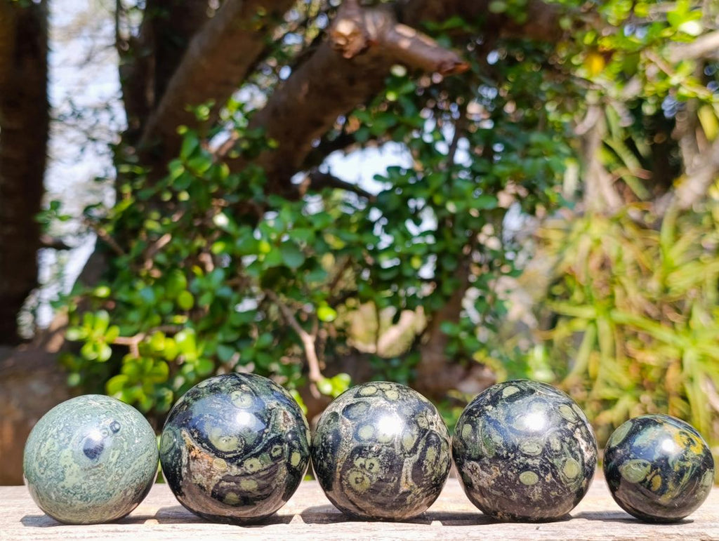 Polished Stromatolite "Kambamba Jasper" Spheres x 12 From Katsepy, Madagascar - Toprock Gemstones and Minerals 