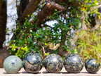 Polished Stromatolite "Kambamba Jasper" Spheres x 12 From Katsepy, Madagascar - Toprock Gemstones and Minerals 
