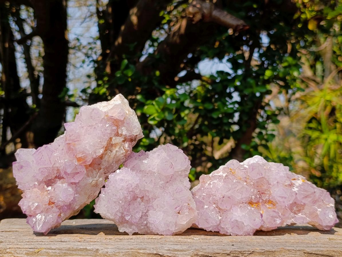Natural Spirit Amethyst Clusters x 3 From Boekenhouthoek, South Africa - Toprock Gemstones and Minerals 