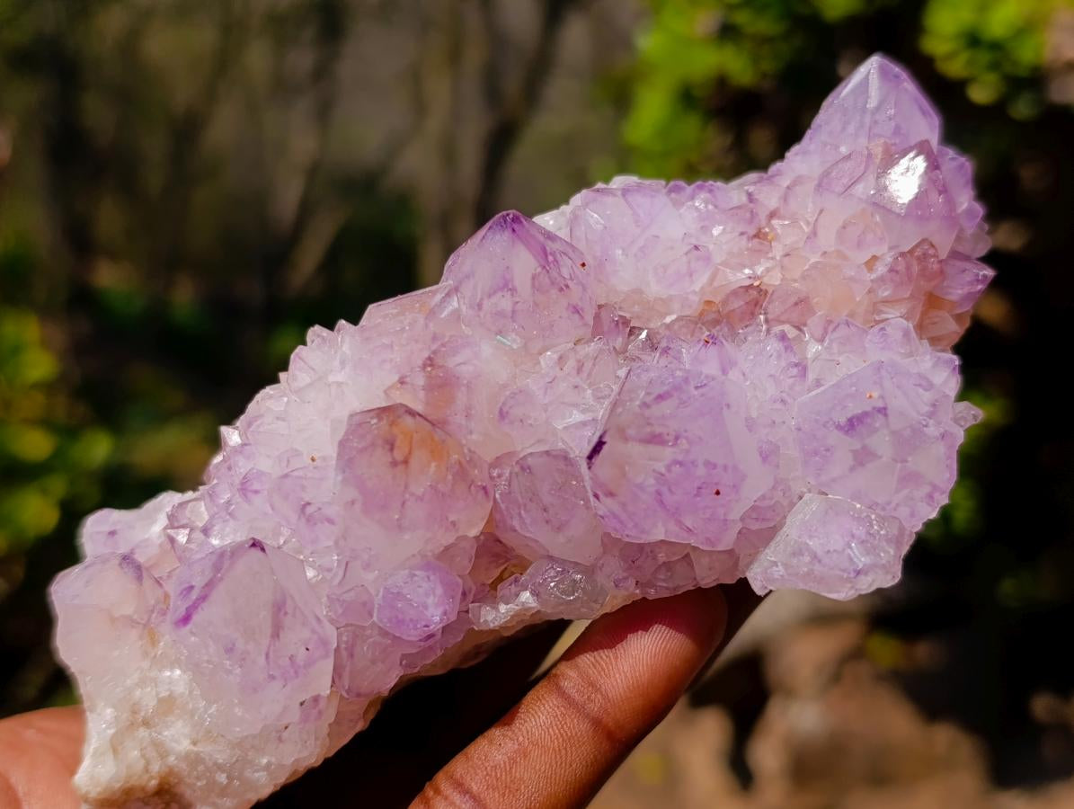 Natural Spirit Amethyst Clusters x 3 From Boekenhouthoek, South Africa - Toprock Gemstones and Minerals 