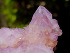 Natural Spirit Amethyst Clusters x 3 From Boekenhouthoek, South Africa - Toprock Gemstones and Minerals 