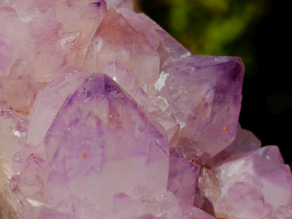 Natural Spirit Amethyst Clusters x 3 From Boekenhouthoek, South Africa - Toprock Gemstones and Minerals 