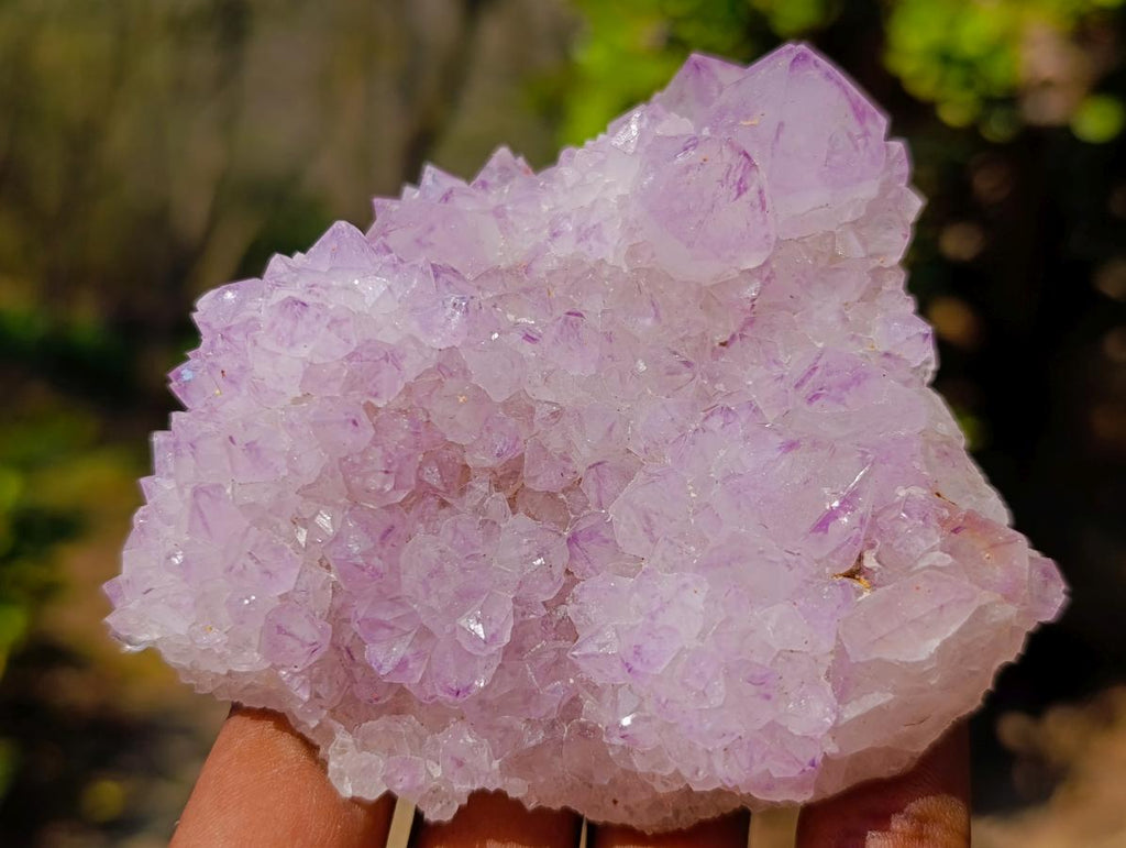 Natural Spirit Amethyst Clusters x 3 From Boekenhouthoek, South Africa - Toprock Gemstones and Minerals 