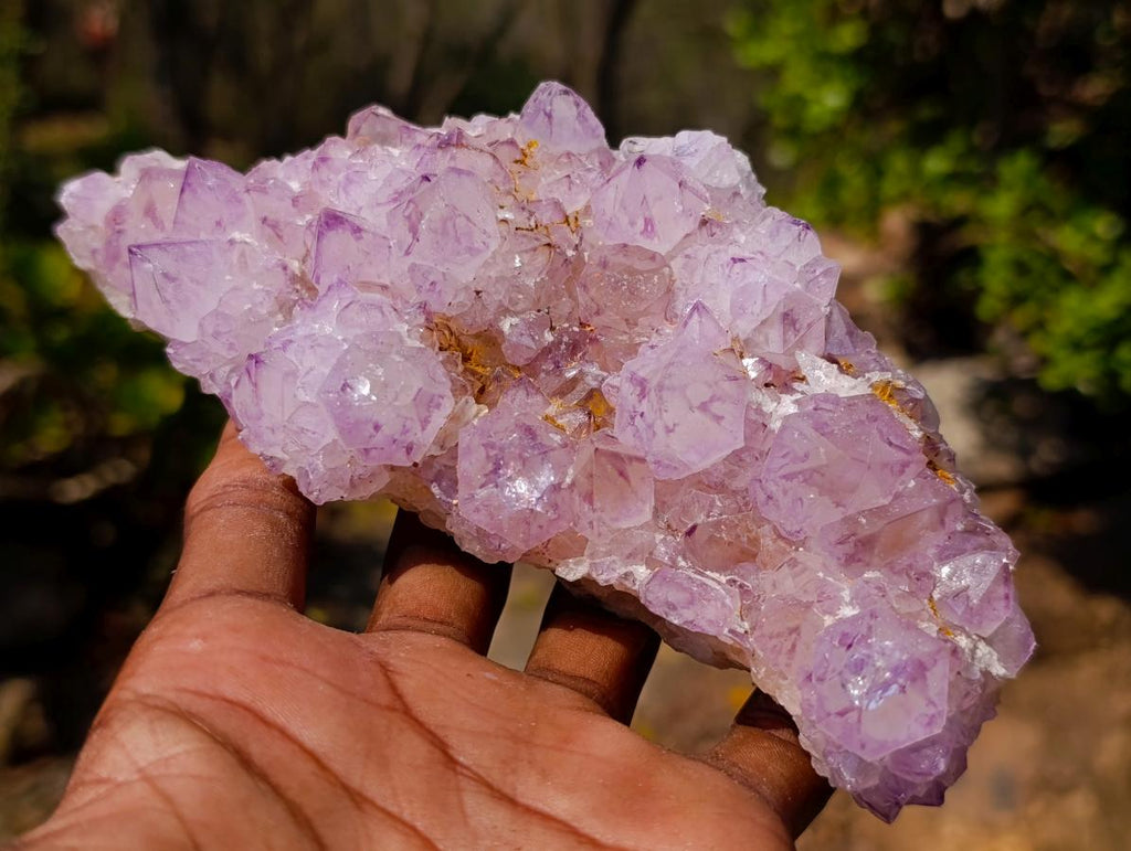 Natural Spirit Amethyst Clusters x 3 From Boekenhouthoek, South Africa - Toprock Gemstones and Minerals 
