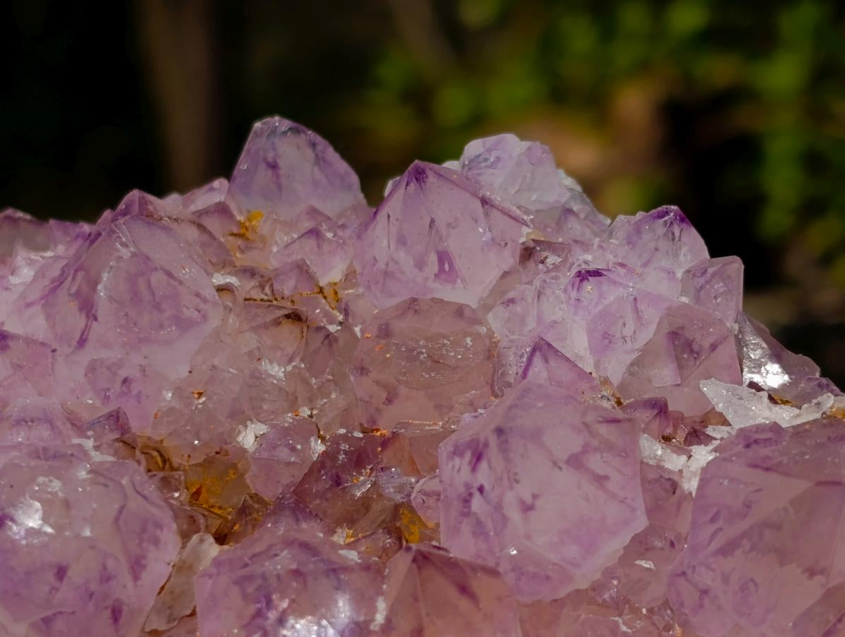 Natural Spirit Amethyst Clusters x 3 From Boekenhouthoek, South Africa - Toprock Gemstones and Minerals 