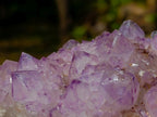 Natural Spirit Amethyst Clusters x 3 From Boekenhouthoek, South Africa - Toprock Gemstones and Minerals 