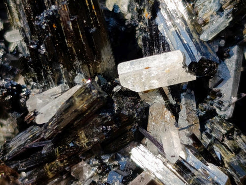 Natural Schorl Black Tourmaline Specimens x 6 From Erongo, Namibia - Toprock Gemstones and Minerals 