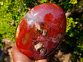 Polished Large Red Podocarpus Petrified Wood Standing Display Piece x 1 From Mahajanga, Madagascar - Toprock Gemstones and Minerals 