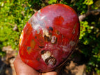 Polished Large Red Podocarpus Petrified Wood Standing Display Piece x 1 From Mahajanga, Madagascar - Toprock Gemstones and Minerals 