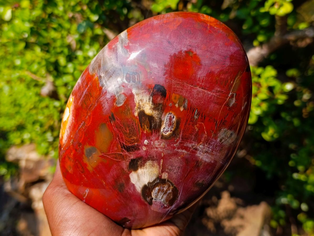 Polished Large Red Podocarpus Petrified Wood Standing Display Piece x 1 From Mahajanga, Madagascar - Toprock Gemstones and Minerals 