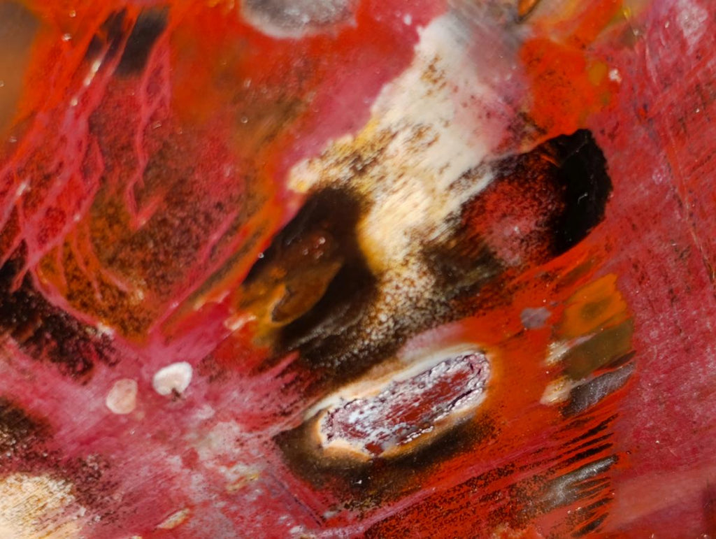 Polished Large Red Podocarpus Petrified Wood Standing Display Piece x 1 From Mahajanga, Madagascar - Toprock Gemstones and Minerals 