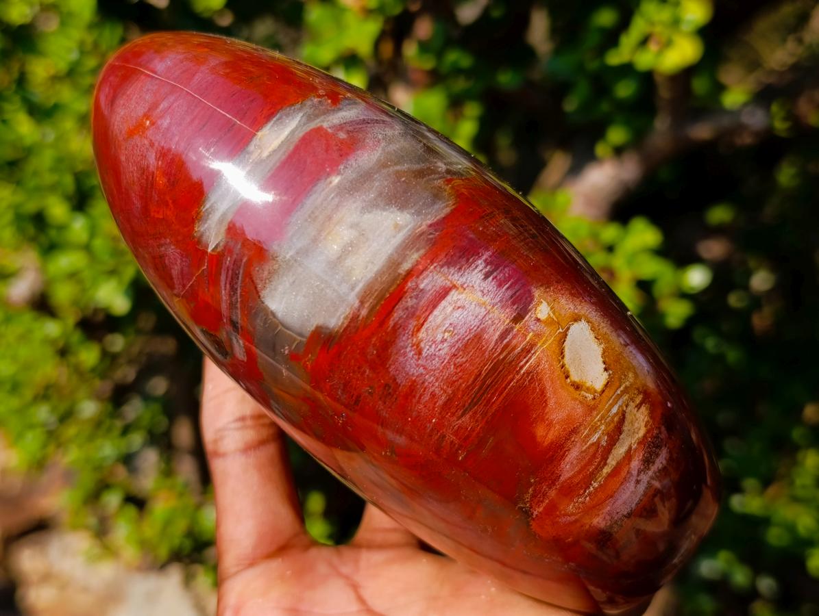 Polished Large Red Podocarpus Petrified Wood Standing Display Piece x 1 From Mahajanga, Madagascar - Toprock Gemstones and Minerals 
