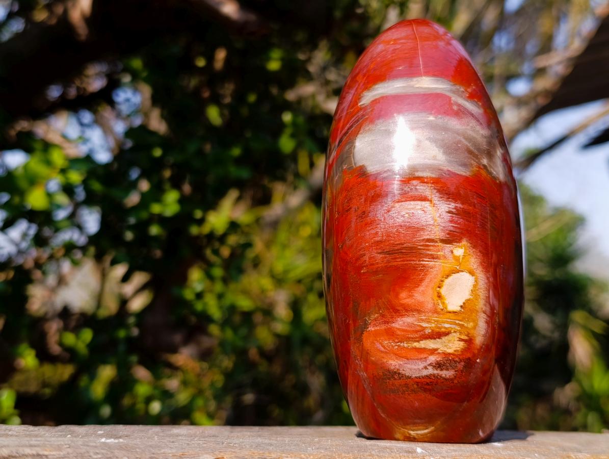 Polished Large Red Podocarpus Petrified Wood Standing Display Piece x 1 From Mahajanga, Madagascar - Toprock Gemstones and Minerals 