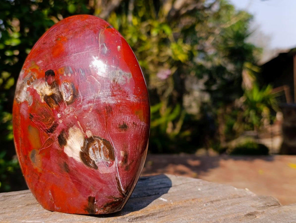 Polished Large Red Podocarpus Petrified Wood Standing Display Piece x 1 From Mahajanga, Madagascar - Toprock Gemstones and Minerals 